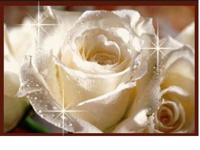 pour tous